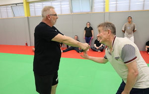 629db08b2c346_JPOUD4juin2233b.JPG